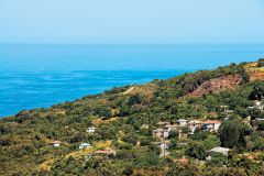 Pelion Activities 3